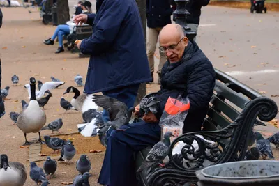 DSC_0657 (Large).JPG